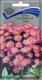 00033897_Астра альпийская Розовая (ПОИСК)