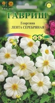 00007866_Георгина Лента серебряная (Гавриш) 11000