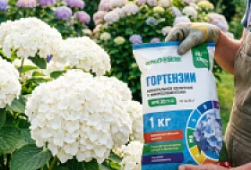 Новинка! Специализированное удобрение с богатым составом для Гортензии
