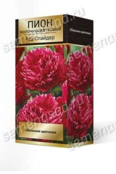 pion_moloch_red_spider_3D