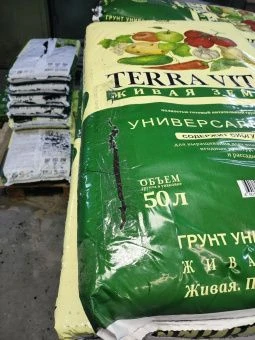 photo_2026-03-12_11-18-37