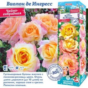 z8n75vu1oj5itv768myavz6fa2k6kapr