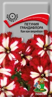 00033938_Петуния Кан Кан вишневая грандифлора (ПОИ