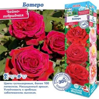 8szv73yvy1n6xrcwnyffap706td7t6i1