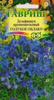 00013654_Дельфиниум Голубое Облако (Гавриш)