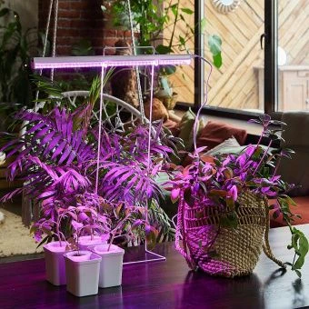 Светильник светодиодный линейный ULI-P20-10W для растений 550мм арт.UL-00002991 (ПрЭн)