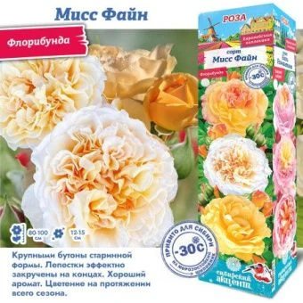 3pqyhafy1sddk29kdppbs2391q1c1tsh