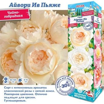 w2e7der7cj6ilz0q15fwh773tgr4kd2y