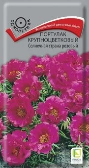 00041133_Портулак Солнечная страна розовый крупноц