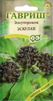 00009549_Элеутерокок колючий Эскулап (Гавриш) 1_50
