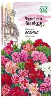 00007871_Годеция Есения серия Чудесный балкон (Гав