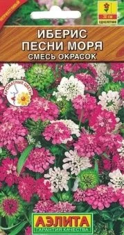 00022919_Иберис Песни моря смесь окрасок (Аэлита)