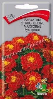 00036578_Бархатцы Аура красная отклоненные махровы