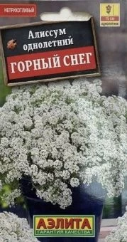 00026768_Алиссум Горный снег (Аэлита)