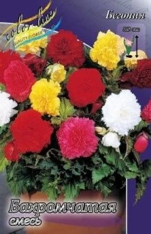 00027309_Бегония бахромчатая Смесь 5шт (КолорЛайн)