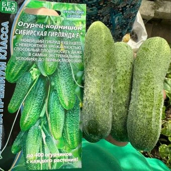 Огурец Сибирская Гирлянда (УД) 1