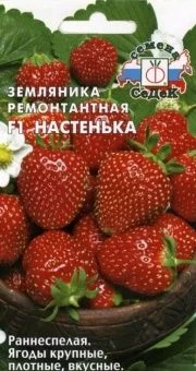 00013375_Клубника (земляника крупноплодная) Настенька (СеДек)