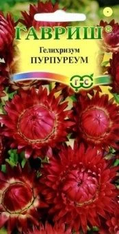 00013433_Гелихризум Пурпуреум (Гавриш)1800