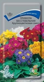 00036632_Примула Крупноцветковая бесстебельная сме