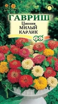 00018343_Цинния Милый карлик смесь 0,5г (Гавриш)
