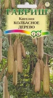 00036465_Кигелия Колбасное дерево 3шт (Гавриш)