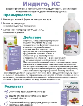 Снимок