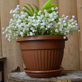 00044506_Флора горшок с поддоном 4л d23 h16 террак