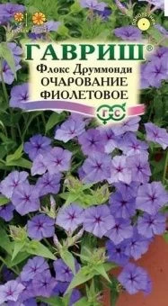 00024451_Флокс Очарование фиолетовое друммонда (Га