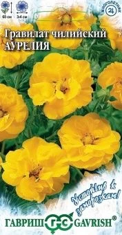 00025918_Гравилат Аурелия чилийский серия Устойчив