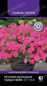 petuniya_kaskadnaya_taydal_veyv_khot_pink
