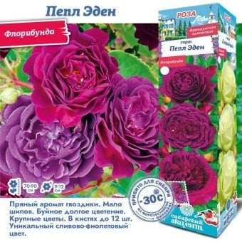 i8164tihx89p4a8yiuon6fepfpntc22z