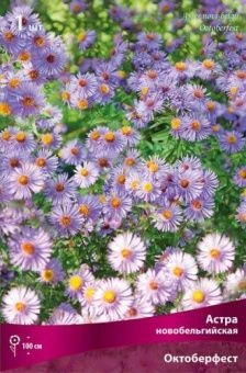 astra_novobelg_octoberfest_kaper