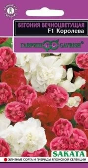 00001233_Бегония Королева махровый смесь вечноцвет