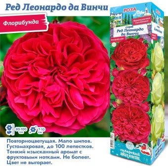 hrsyg7vyomtaef1wmhxayo2b9041xh93