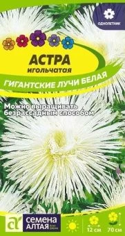 00043369_Астра Гигантские лучи Белая 0,2г (Сем Алт)