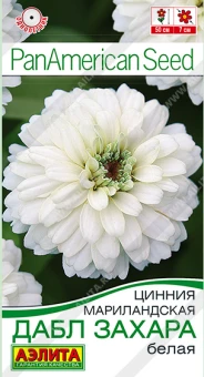 Снимок экрана 2025-08-01 160230