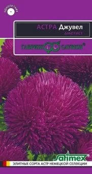 00010379_Астра Джувел Аметист (Гавриш) 11200