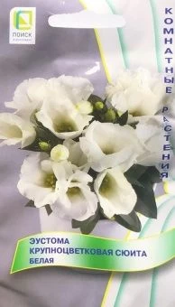 00041799_Эустома Сюита Белая крупноцветковая 5шт (