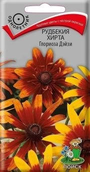 00021411_Рудбекия хирта Глориоза Дэйзи 0,1г (ПОИСК