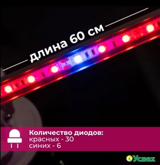 2025-03-19_12-42-54