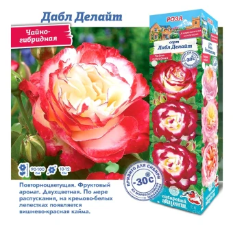 Снимок экрана 2025-10-09 114412