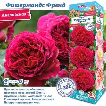 pupjrpjss93rs5yucz7u6e6l0hjekqjy