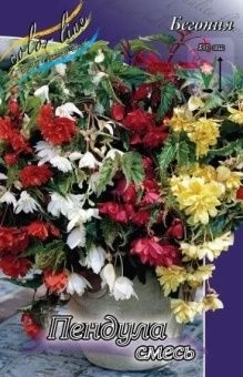 00036210_Бегония пендула Смесь 5шт (КолорЛайн)