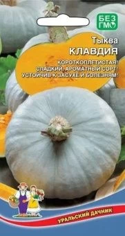 00029292_Тыква Клавдия (УД)
