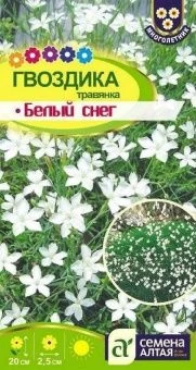 00017945_Гвоздика травянка Белый Снег 0,1г (Сем Ал