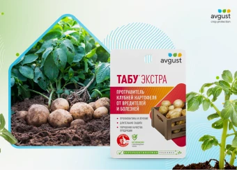 Табу Экстра 20мл 150 (Август)