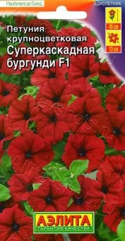 00002787_Петуния Суперкаскадная бургунди (Аэлита)