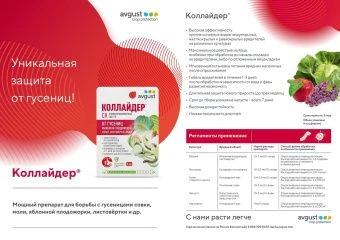 Коллайдер гусеницы_2х (2)