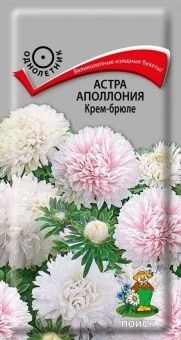 00041023_Астра Аполлония Крем-брюле  0,3гр (ПОИСК)