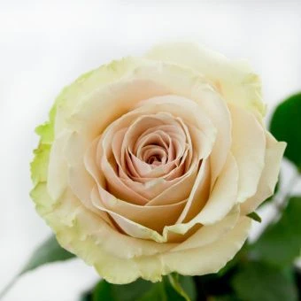 17.-Pompei.1-e1556757127637